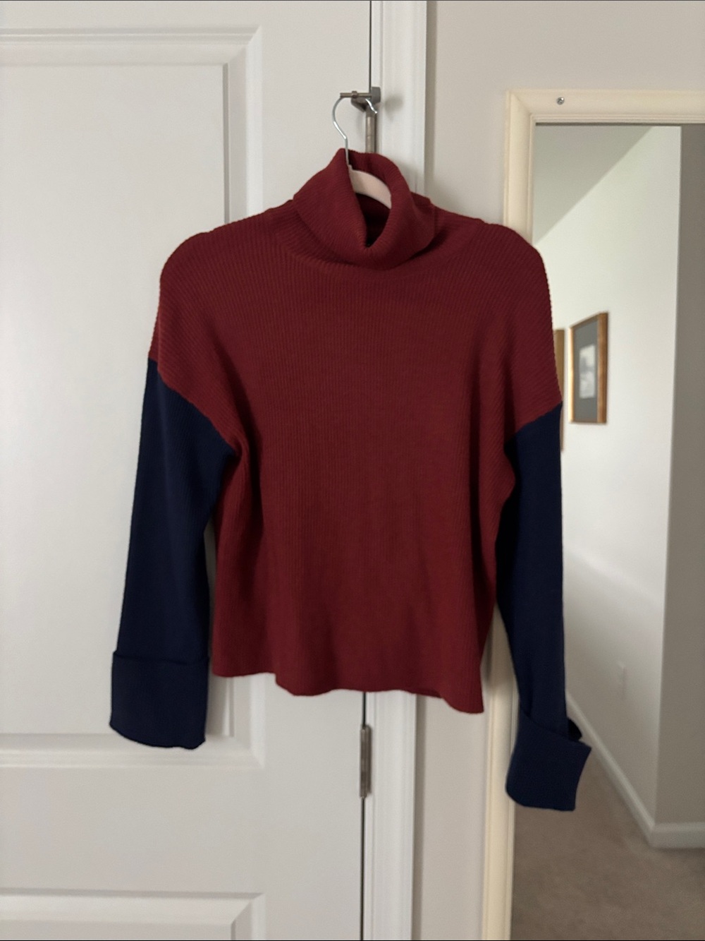 Vici Colorblock Turtleneck Sweater in Burgundy and Navy
